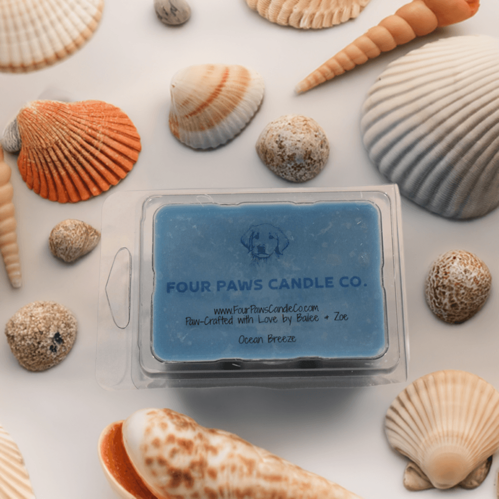 Ocean Breeze - Four Paws Candle Co.