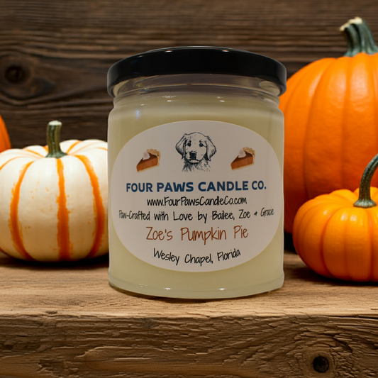 Zoe's Pumpkin Pie